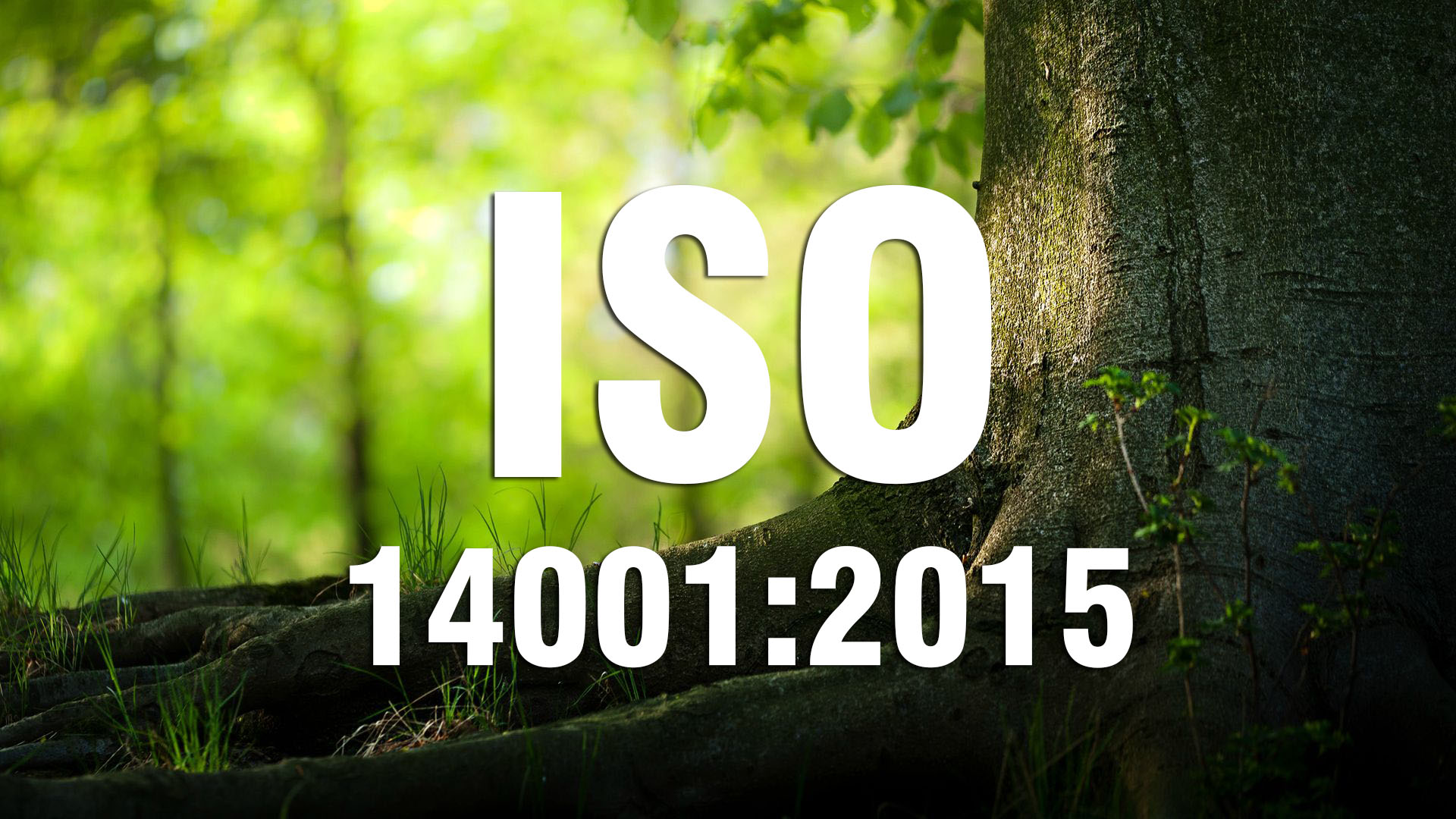 HOẠCH ĐỊNH THÔNG TIN VĂN BẢN THEO YÊU CẦU  ISO 14001:2015 (Cấp 2)