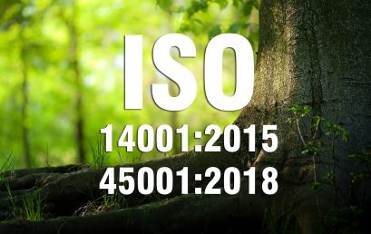 ĐÁNH GIÁ VIÊN NỘI BỘ TIÊU CHUẨN  ISO 14001:2015 & ISO 45001:2018 (Cấp 3)