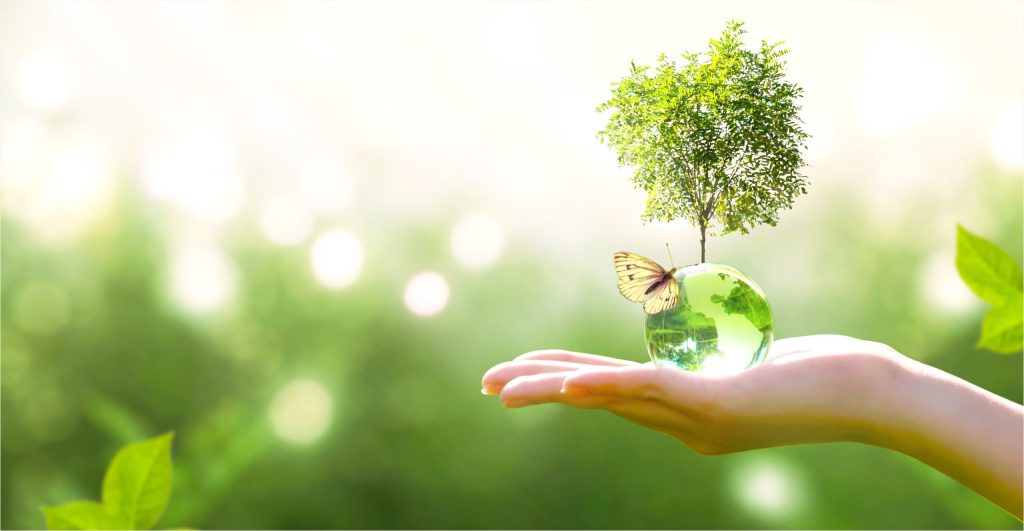 Khóa Đào tạo Nghiệp vụ Tư vấn và Quản lý Môi trường Doanh nghiệp